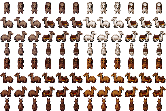 camel%20one%20hump%20sit.png