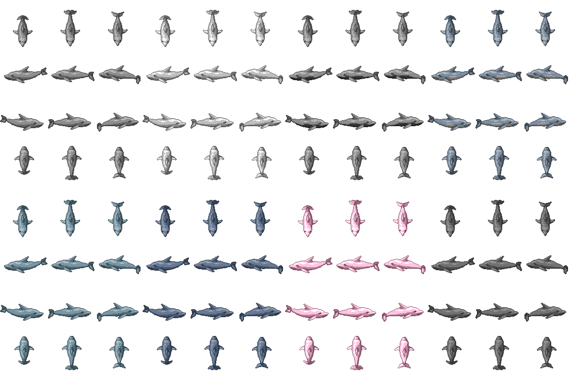 dolphins.png