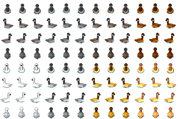 goose_swim.png